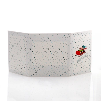 Mini-Album TS świąteczny pingwinki zestaw: 2 zdjęcia 15x21 + zakładka na CD